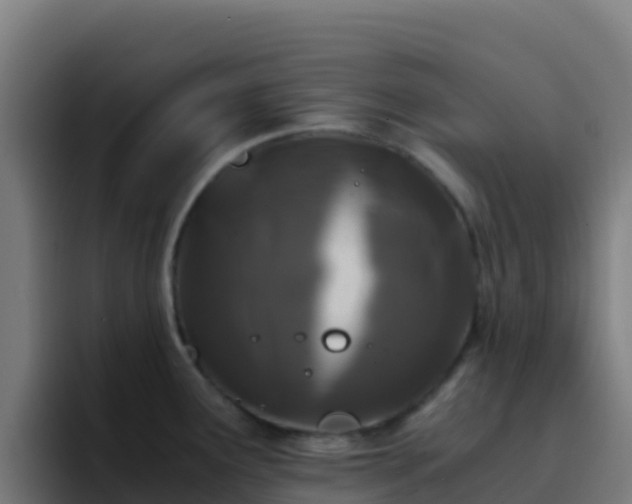 X0000094931291200712061121