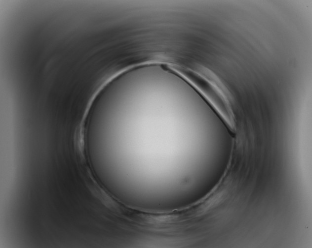 X0000094931292200712061121