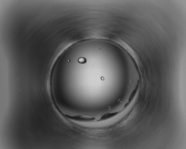 X0000094931293200712061121