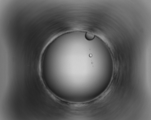 X0000094931294200712061121