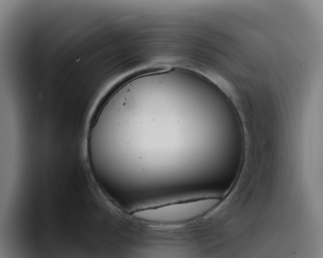 X0000094931296200712061121