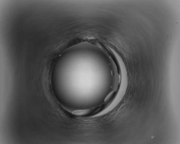 X0000094931297200712061121