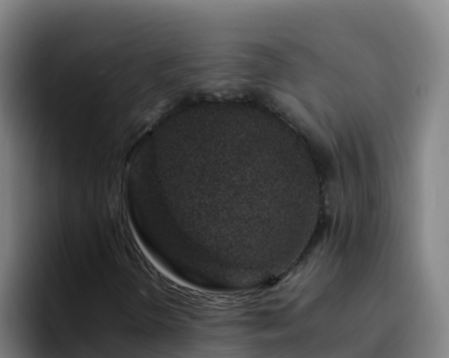 X0000094931298200712061121