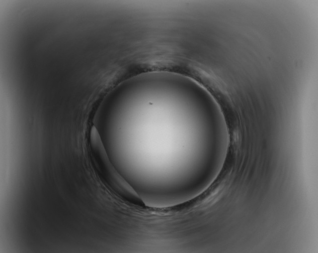 X0000094931300200712061121