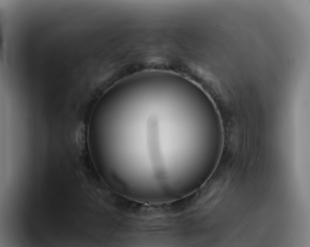 X0000094931301200712061121