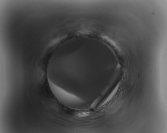 X0000094931303200712061121