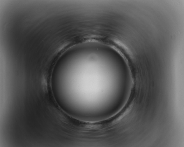 X0000094931305200712061121
