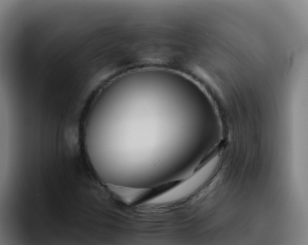 X0000094931307200712061121