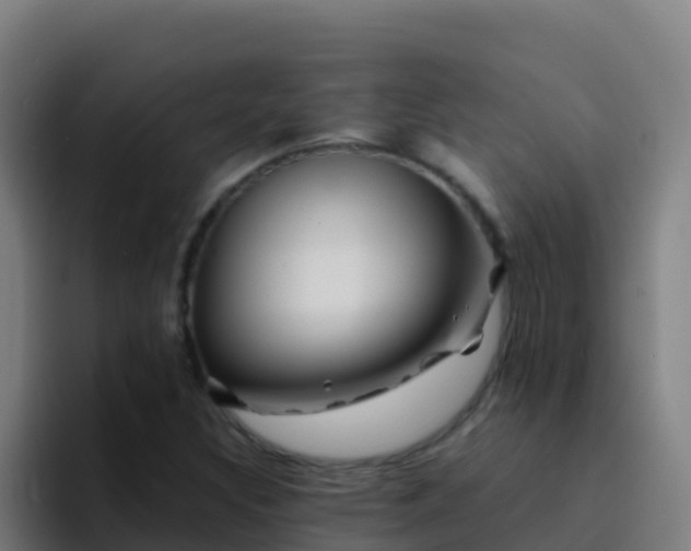 X0000094931308200712061121