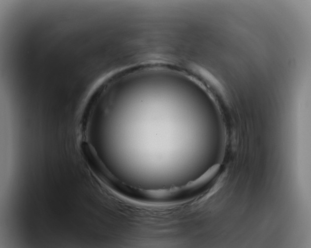 X0000094931310200712061121