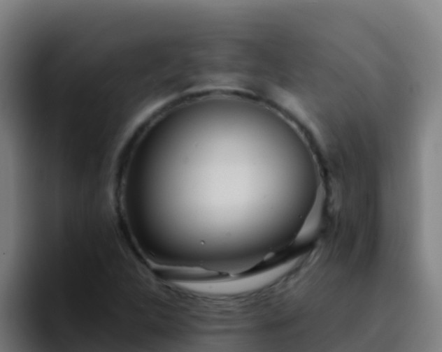 X0000094931312200712061121