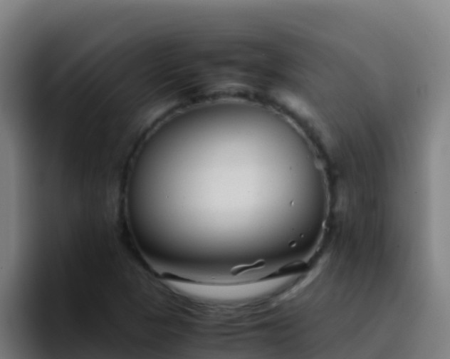 X0000094931313200712061121