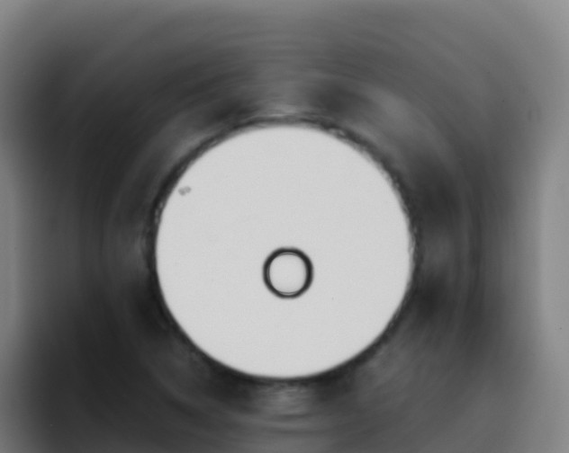 X0000094931314200712061121
