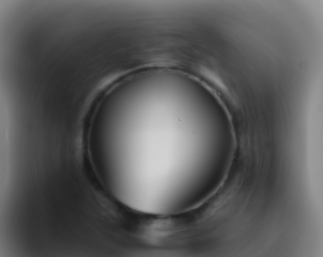 X0000094931315200712061121