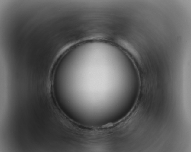 X0000094931316200712061121