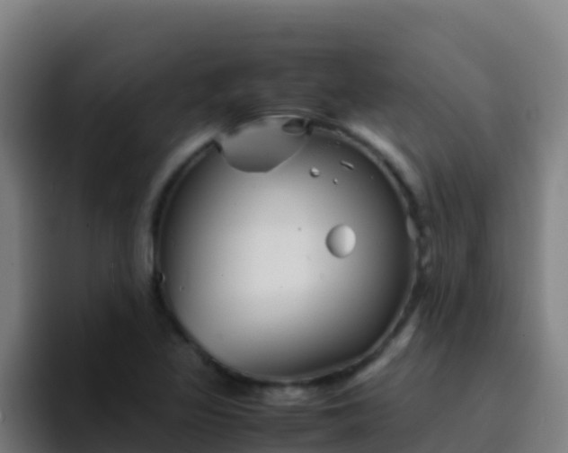 X0000094931317200712061121