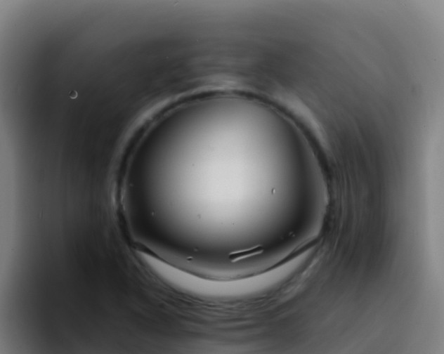 X0000094931318200712061121