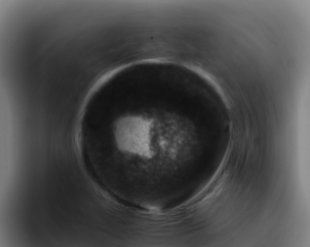 X0000094931319200712061121