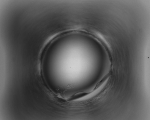 X0000094931320200712061121