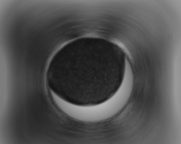X0000094931323200712061121