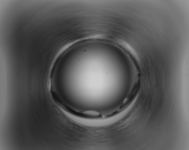 X0000094931324200712061121