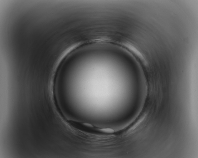 X0000094931325200712061121