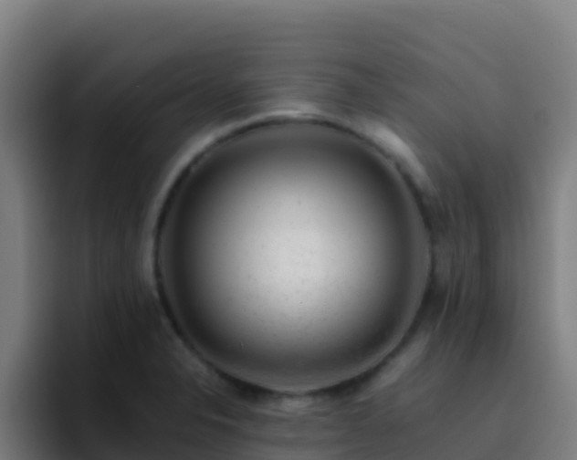 X0000094931326200712061121