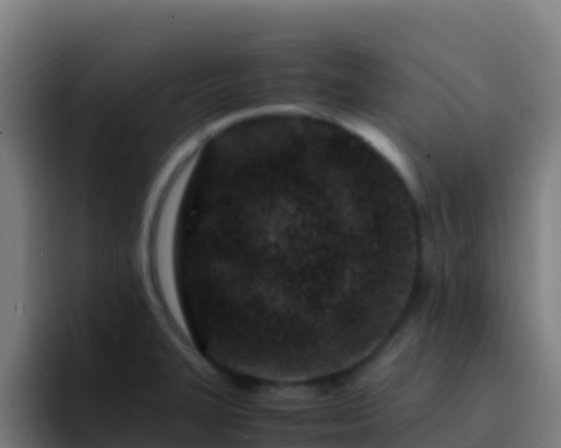 X0000094931327200712061121