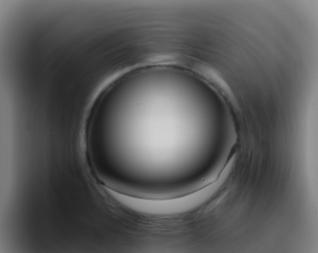 X0000094931328200712061121