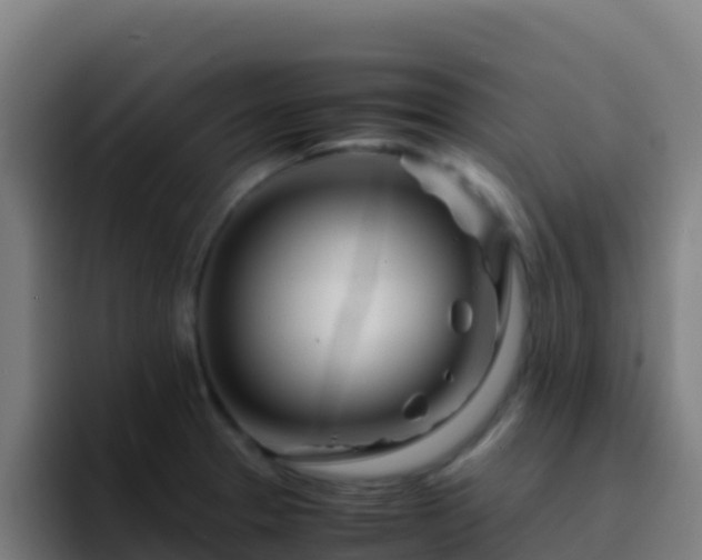 X0000094931329200712061121