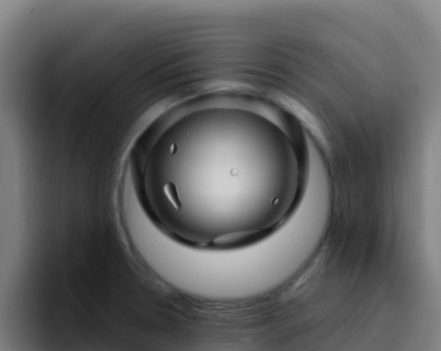 X0000094931330200712061121