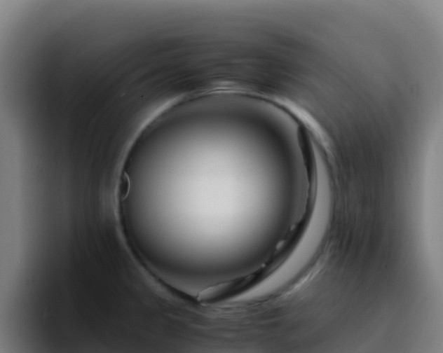X0000094931333200712061121