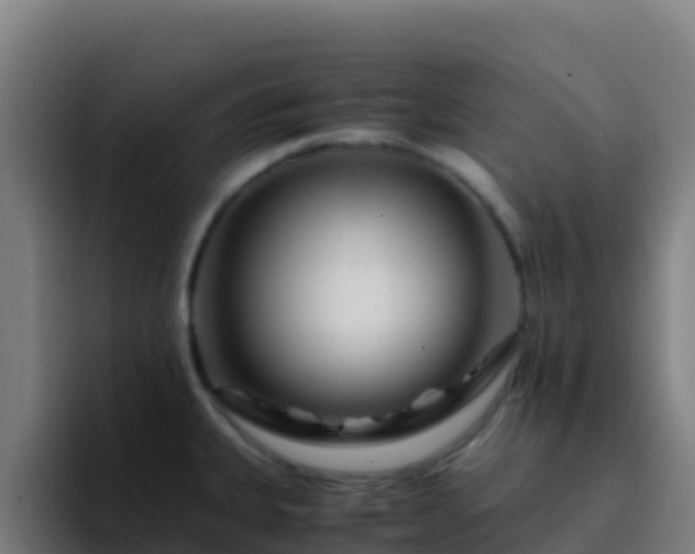 X0000094931335200712061121