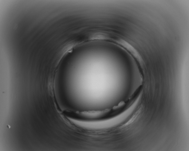 X0000094931337200712061121