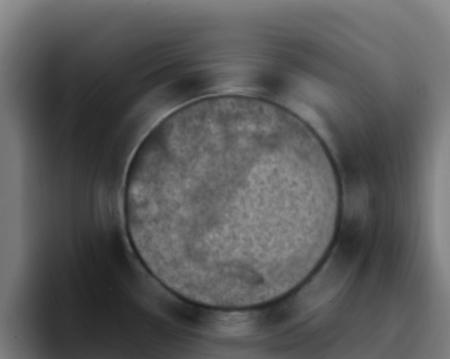 X0000094931338200712061121