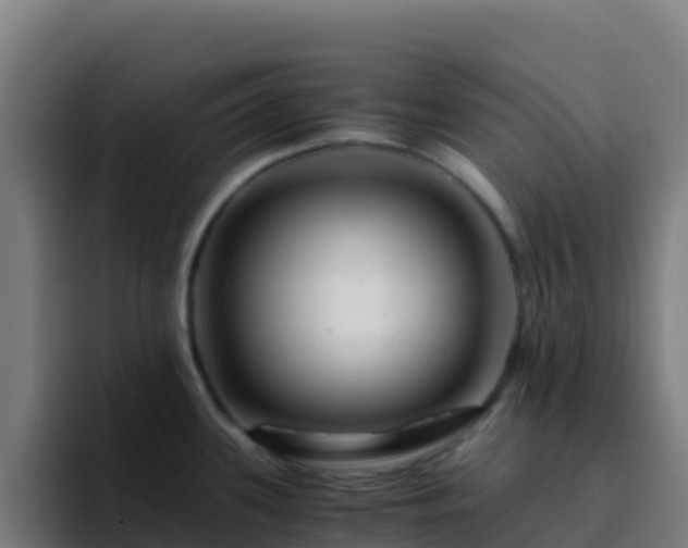 X0000094931339200712061121