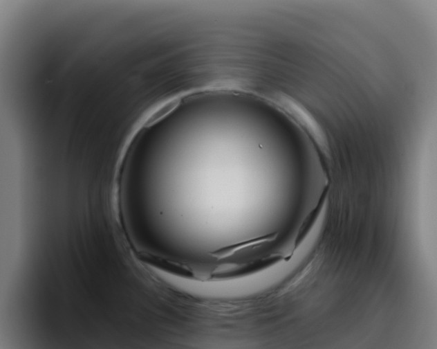 X0000094931340200712061121