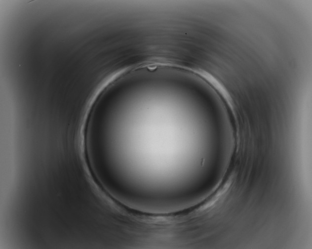 X0000094931341200712061121