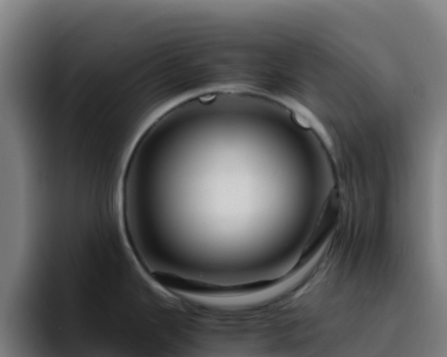 X0000094931343200712061121