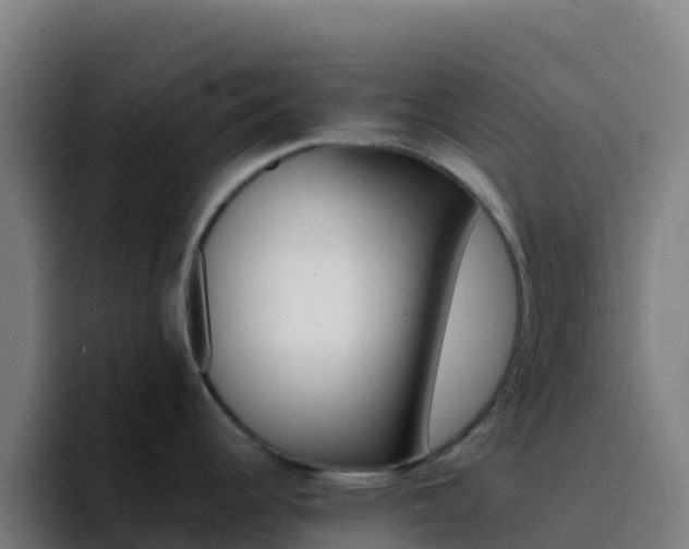 X0000094931344200712061121