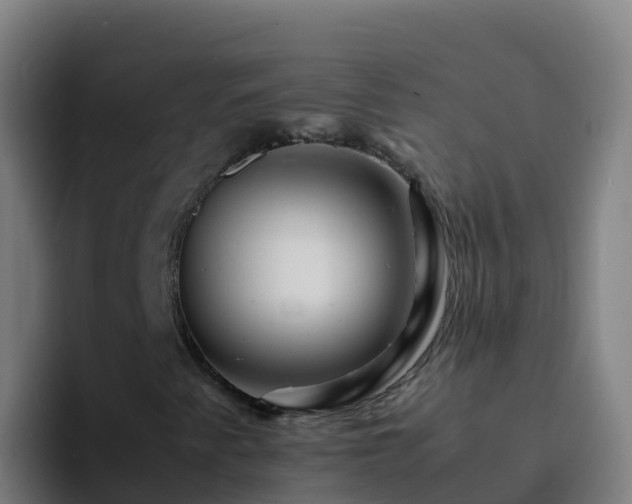 X0000094931345200712061121