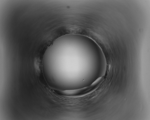 X0000094931346200712061121