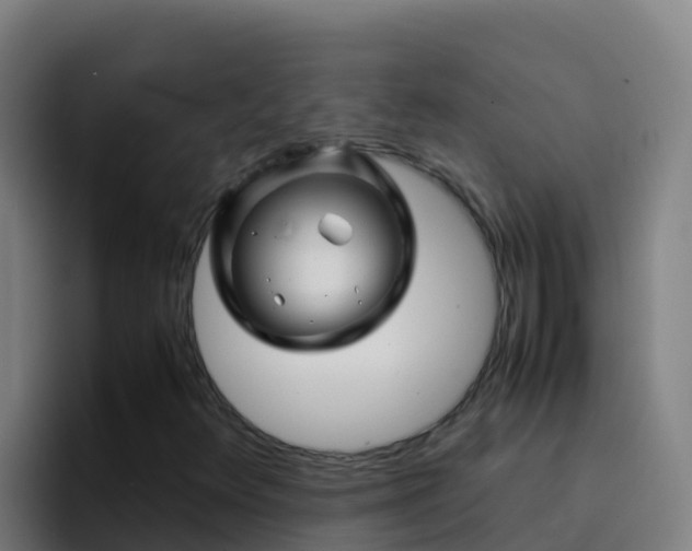 X0000094931348200712061121