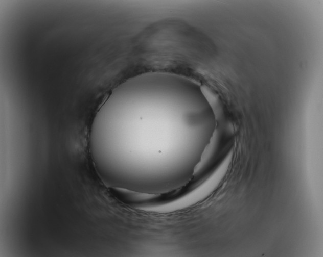 X0000094931349200712061121