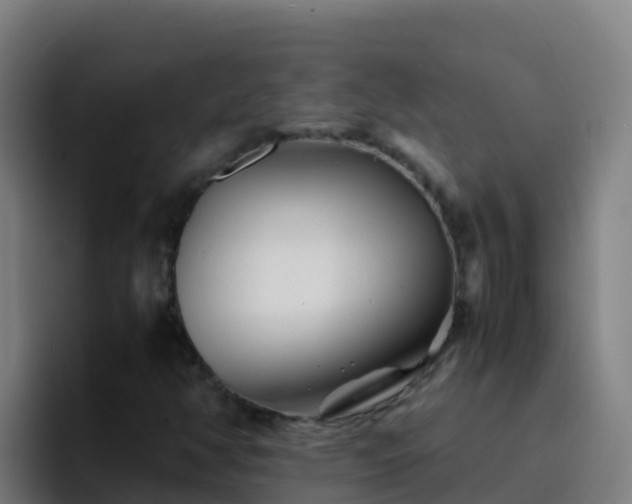 X0000094931350200712061121