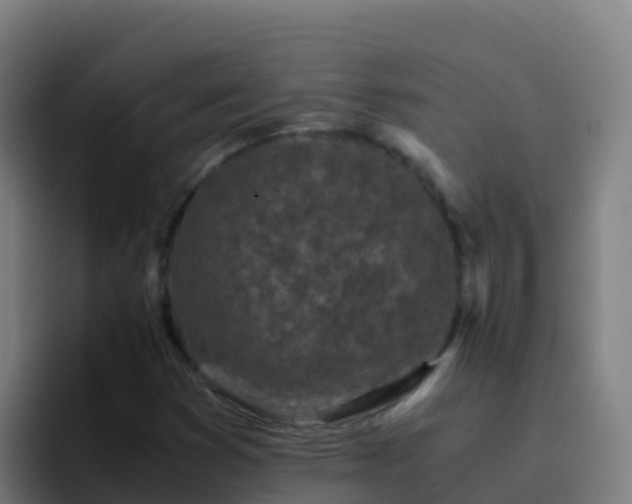 X0000094931353200712061121