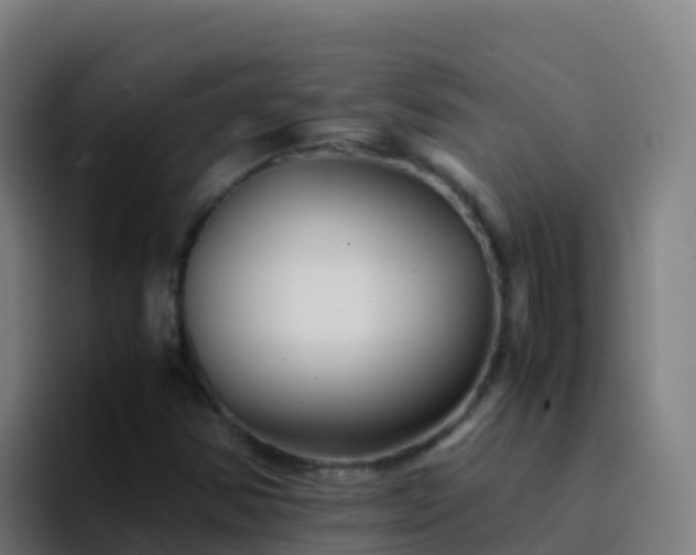 X0000094931354200712061121