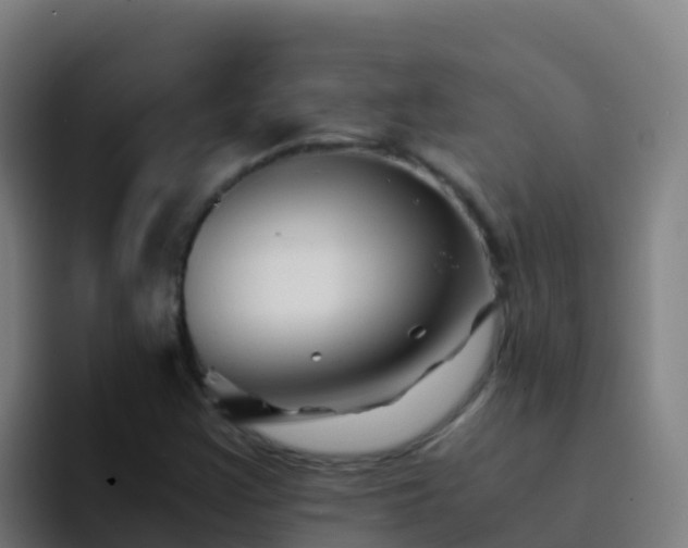 X0000094931355200712061121