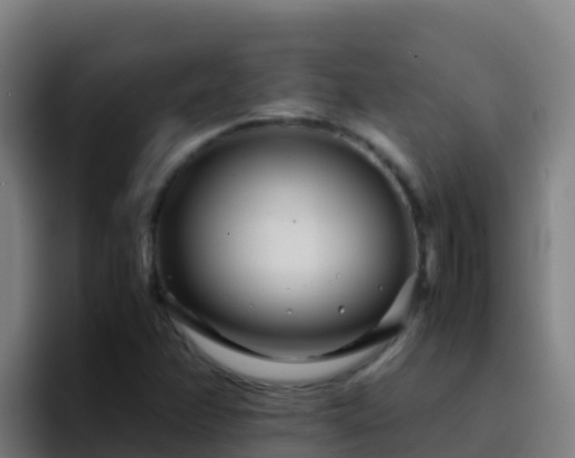 X0000094931358200712061120