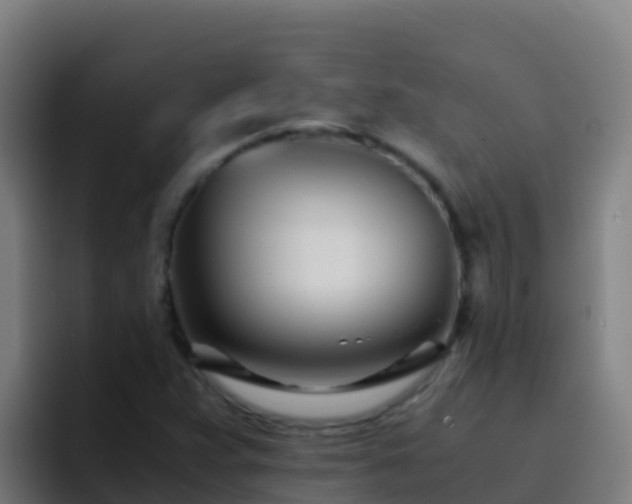 X0000094931359200712061120